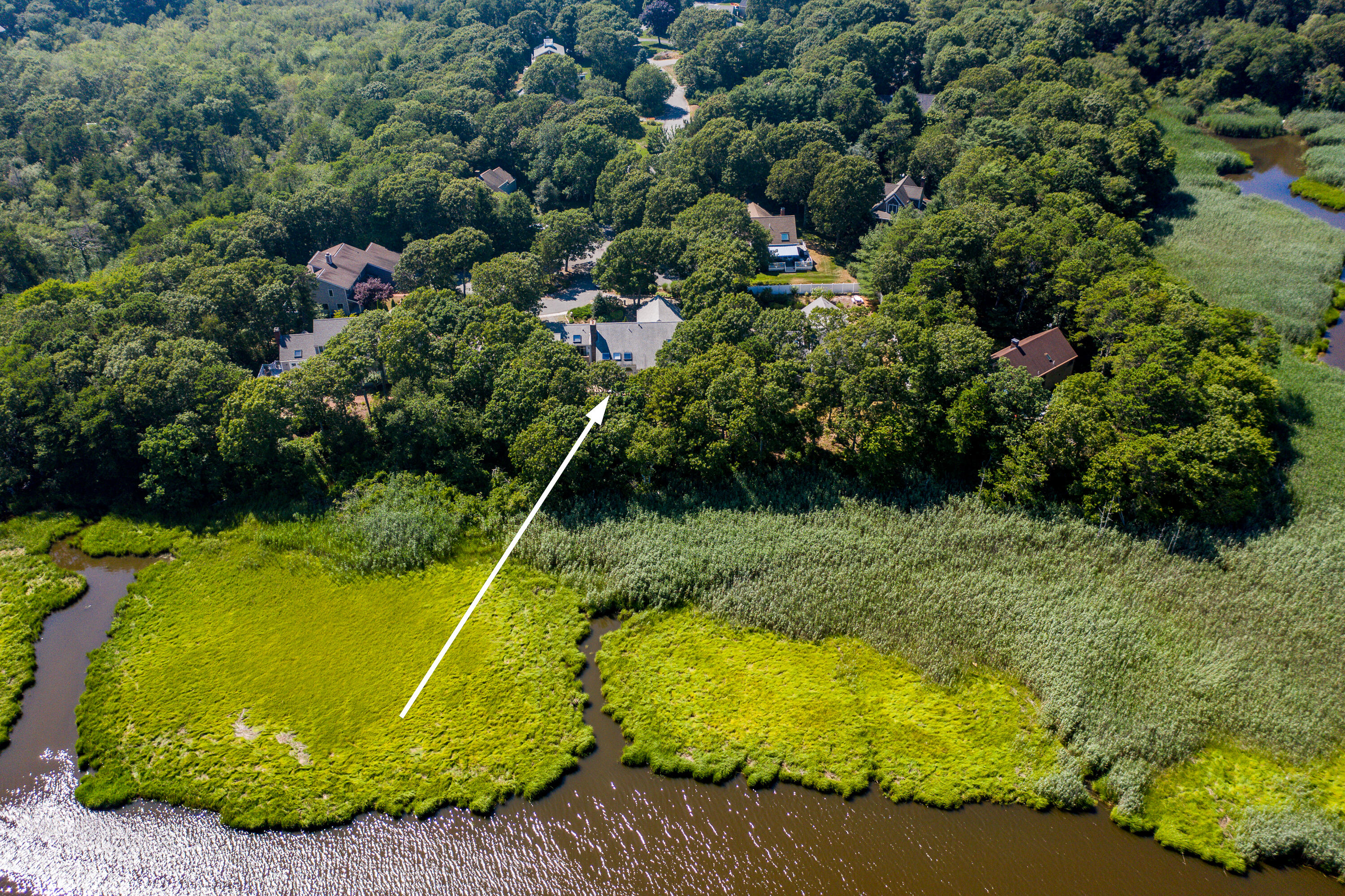 108 Waterside Drive Centerville, MA 02632 - Photo 56 of 64 a view of a swimming pool with a yard and plants