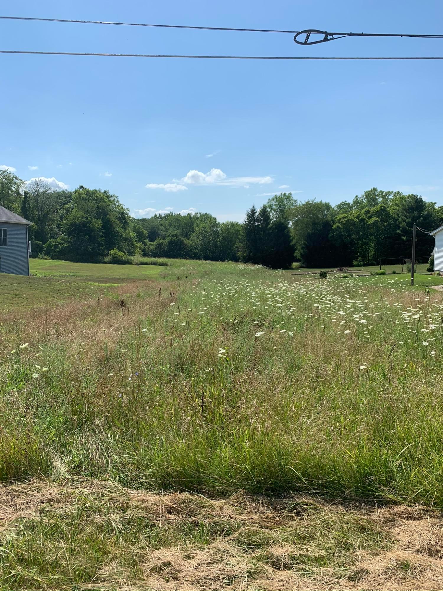 0 Jacktown Road, Unit LOT 2 Ostrander, OH 43061 - Photo 11 of 18