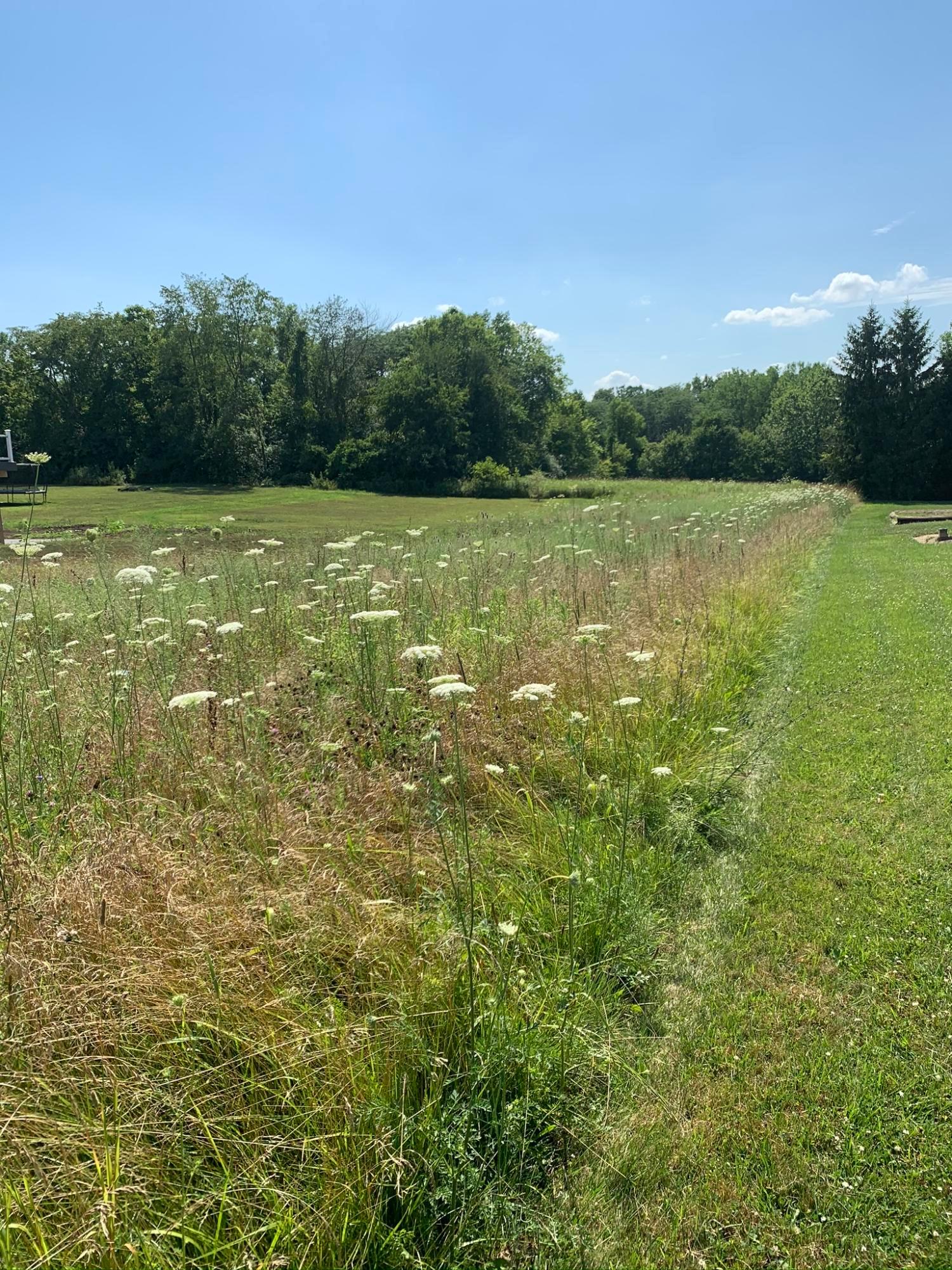 0 Jacktown Road, Unit LOT 2 Ostrander, OH 43061 - Photo 12 of 18