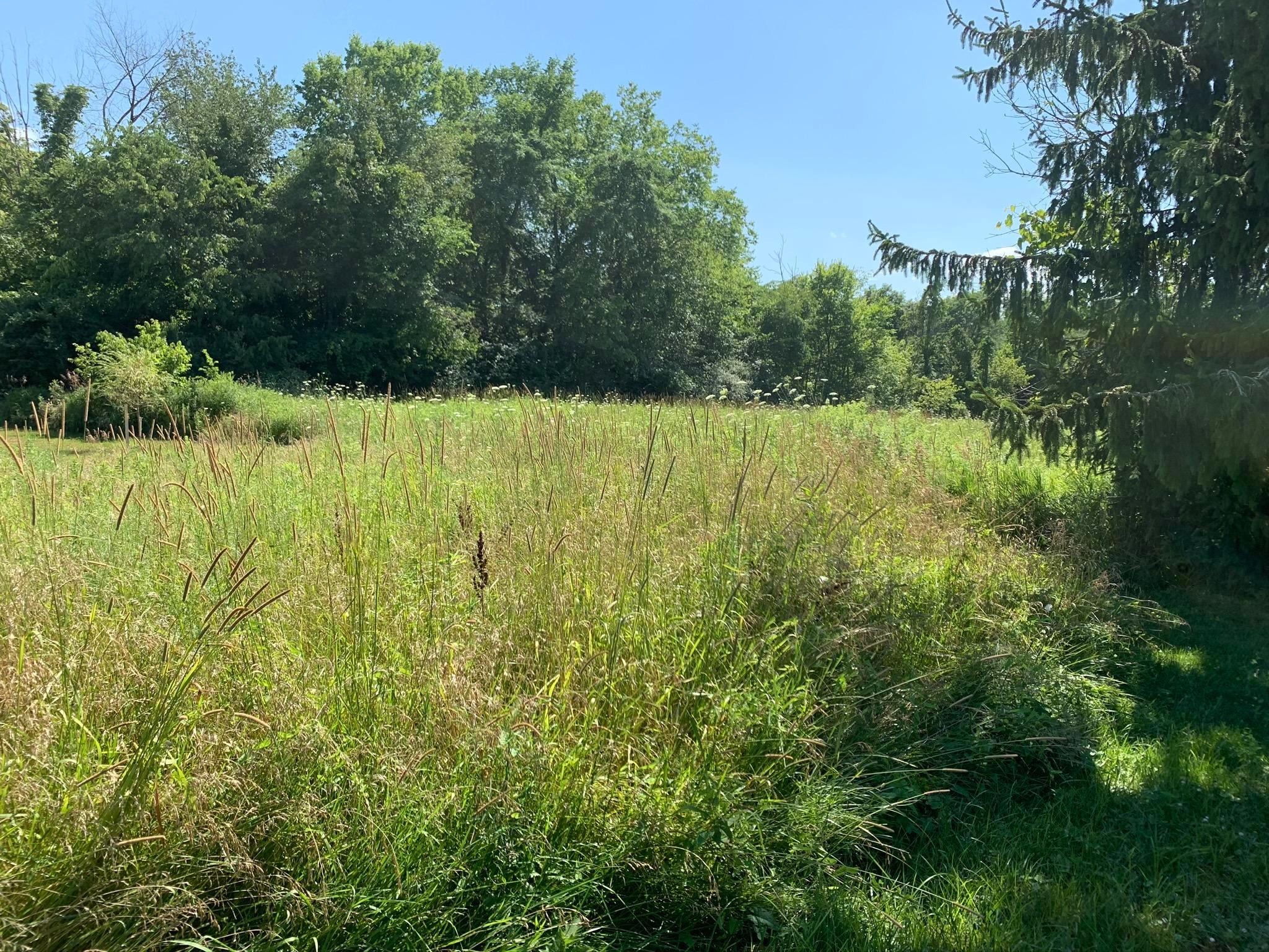 0 Jacktown Road, Unit LOT 2 Ostrander, OH 43061 - Photo 14 of 18