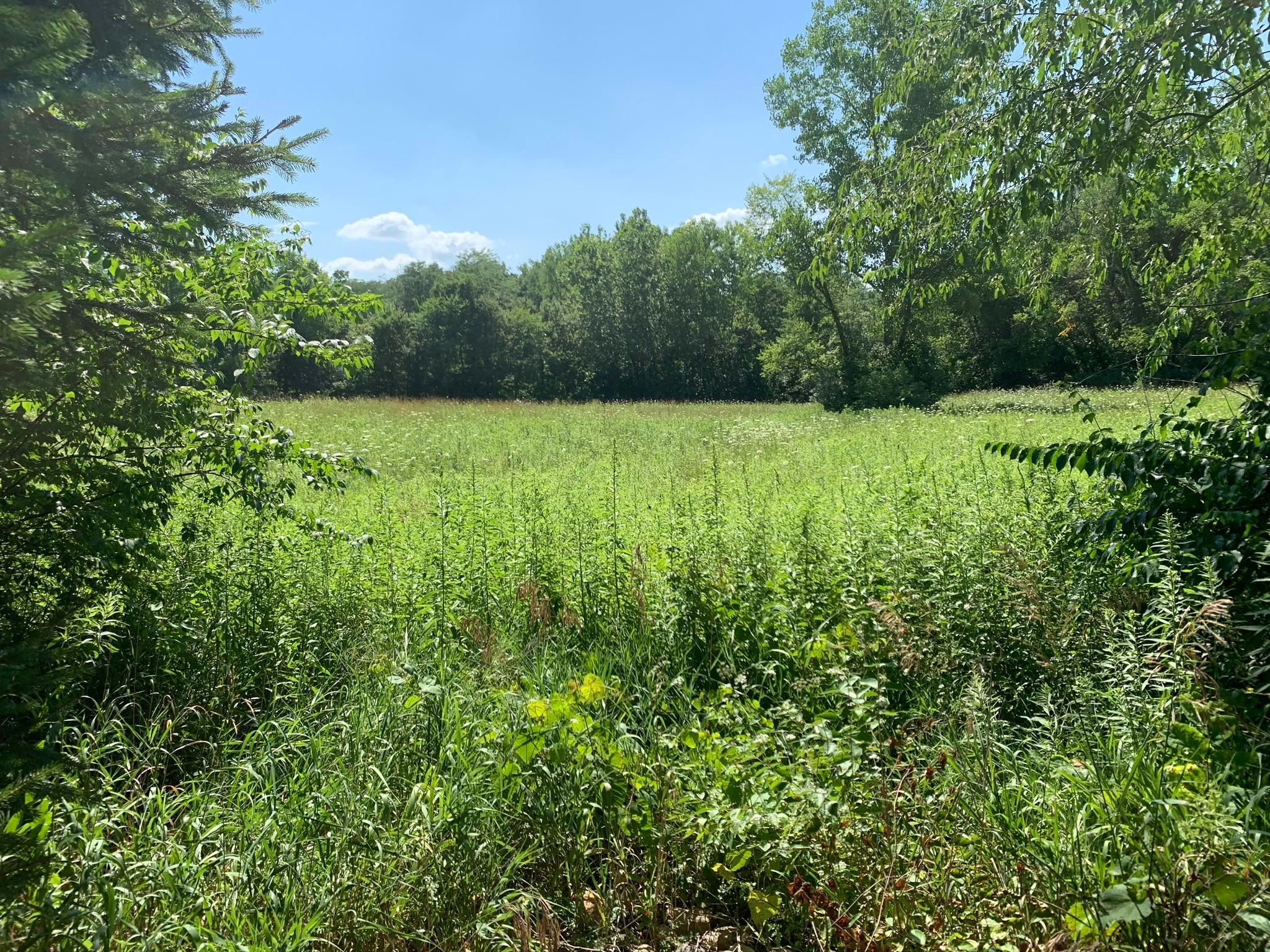 0 Jacktown Road, Unit LOT 2 Ostrander, OH 43061 - Photo 15 of 18