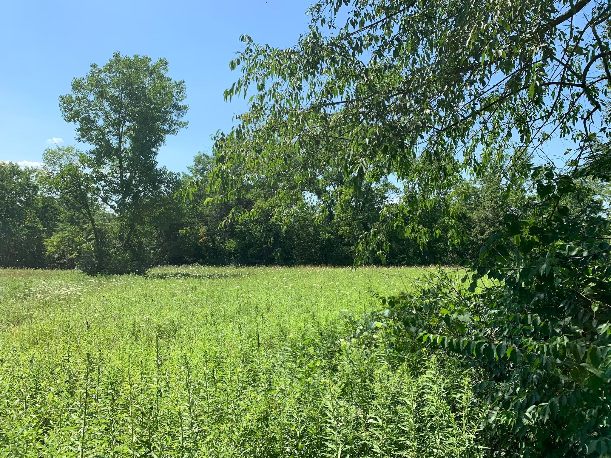 0 Jacktown Road, Unit LOT 2 Ostrander, OH 43061 - Photo 16 of 18