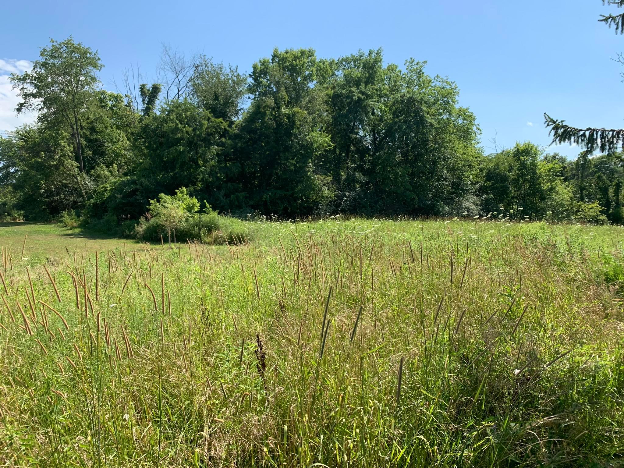 0 Jacktown Road, Unit LOT 2 Ostrander, OH 43061 - Photo 17 of 18