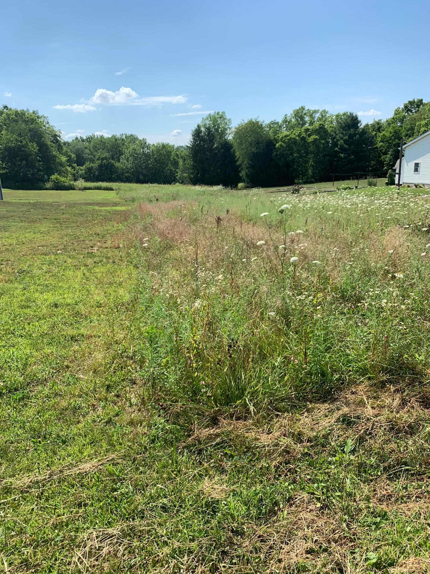 0 Jacktown Road, Unit LOT 2 Ostrander, OH 43061 - Photo 10 of 18