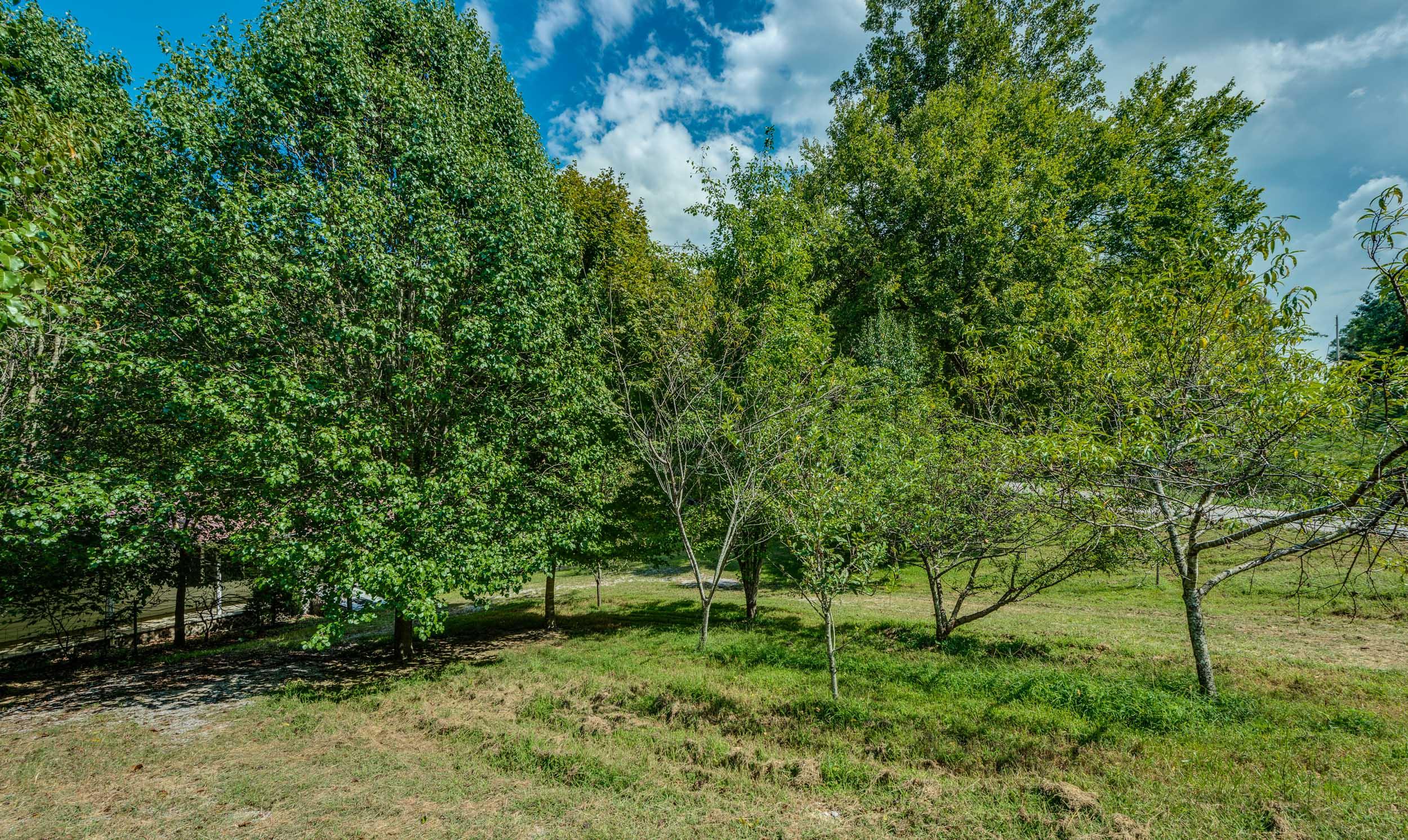5367 Eastport Road Alpine, TN 38543 - Photo 20 of 28 Exterior-5