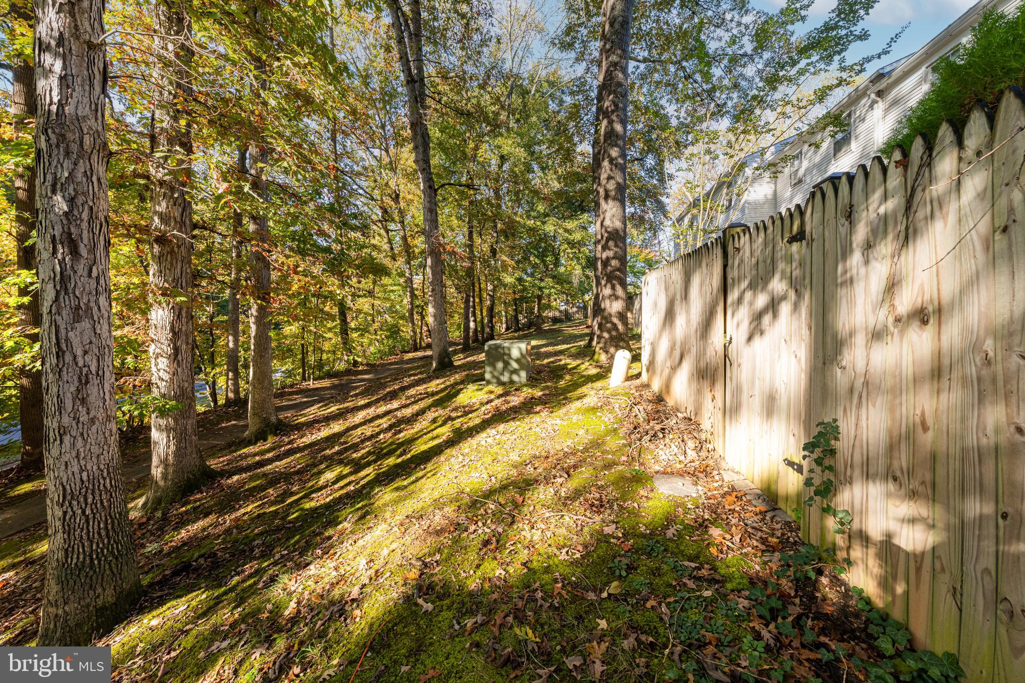 7779 Tiverton Drive Springfield, VA 22152 - Photo 23 of 24