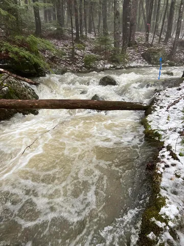 $369,000 | 1939 Me-46, Bucksport, ME 04416