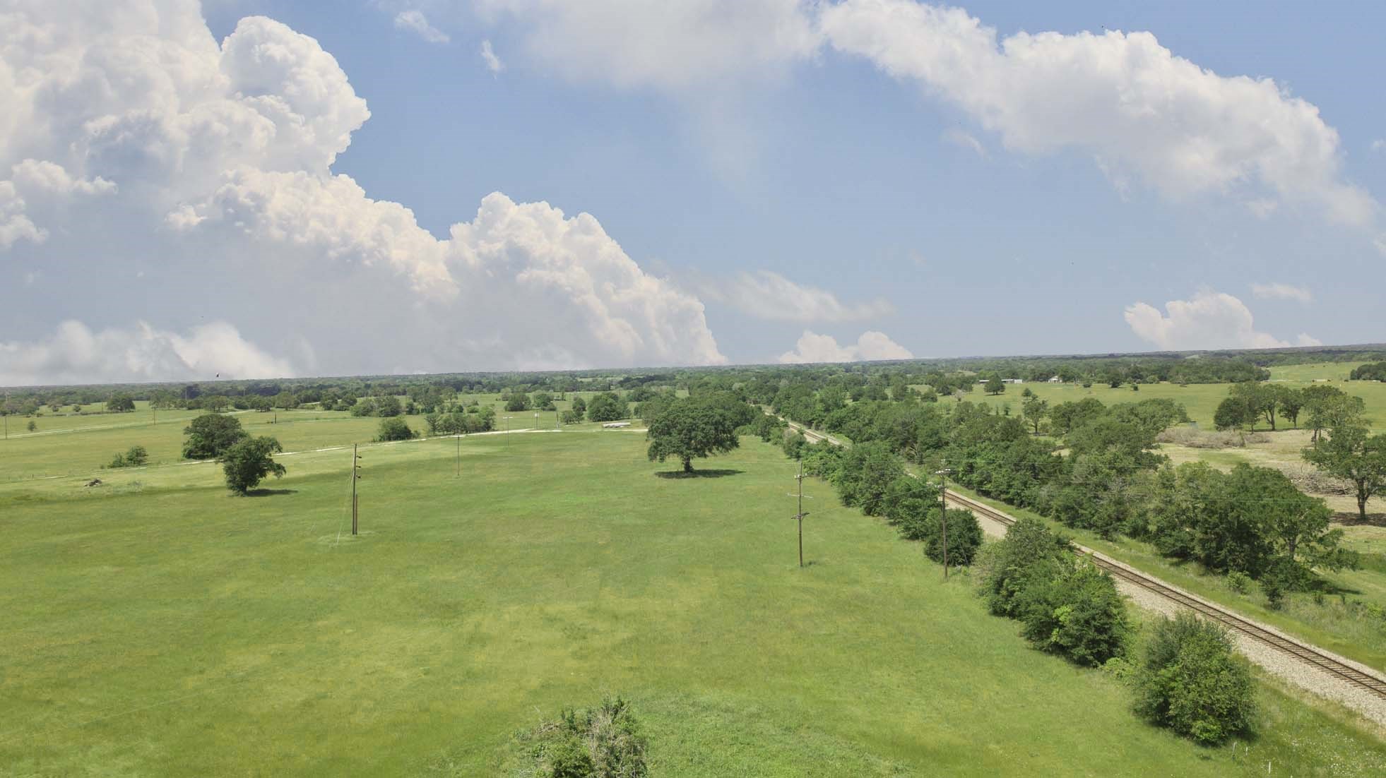 15130 Fm 39 Road Bedias, TX 77831 - Photo 9 of 26
