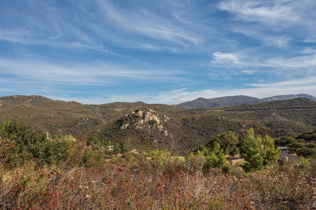 23540 Japatul Valley Road Alpine, CA 91901 - Photo 21 of 24