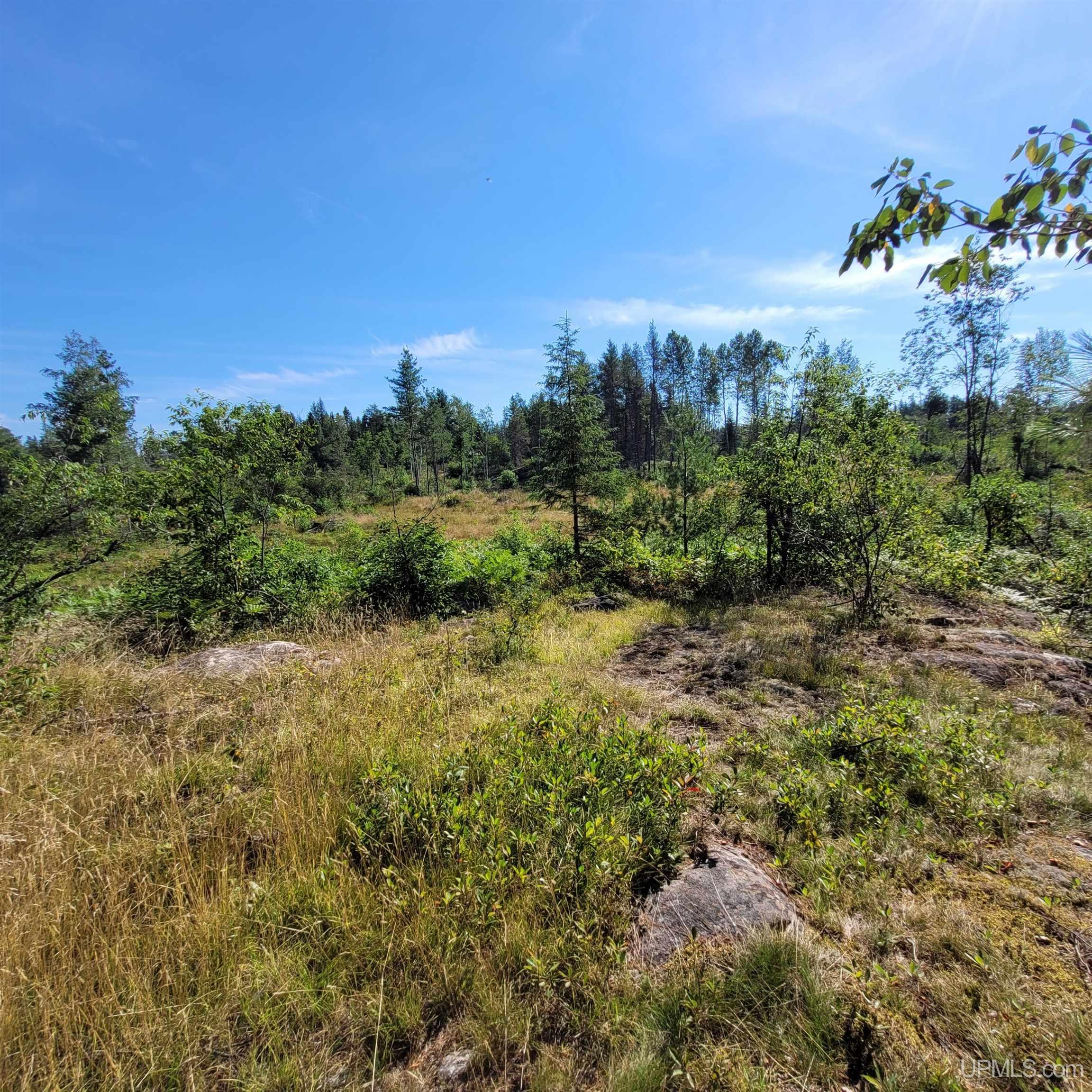 76 Acres Road Gwinn, MI 49841 - Photo 22 of 64