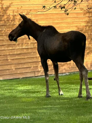 $349,900 | 3 Elsie Peak Court, Unit 3, Pinehurst, ID 83850