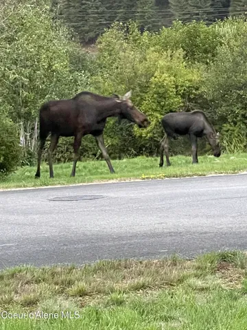 $349,900 | 3 Elsie Peak Court, Unit 3, Pinehurst, ID 83850