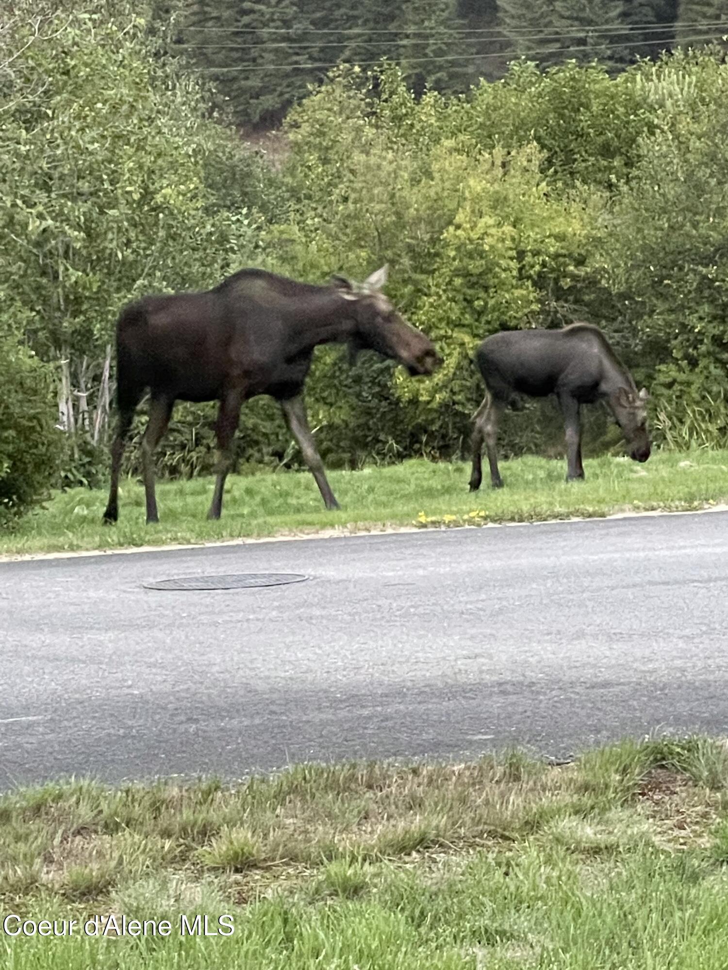 3 Elsie Peak Court, Unit 3 Pinehurst, ID 83850 - Photo 55 of 67 IMG_20250410_193336 (4)