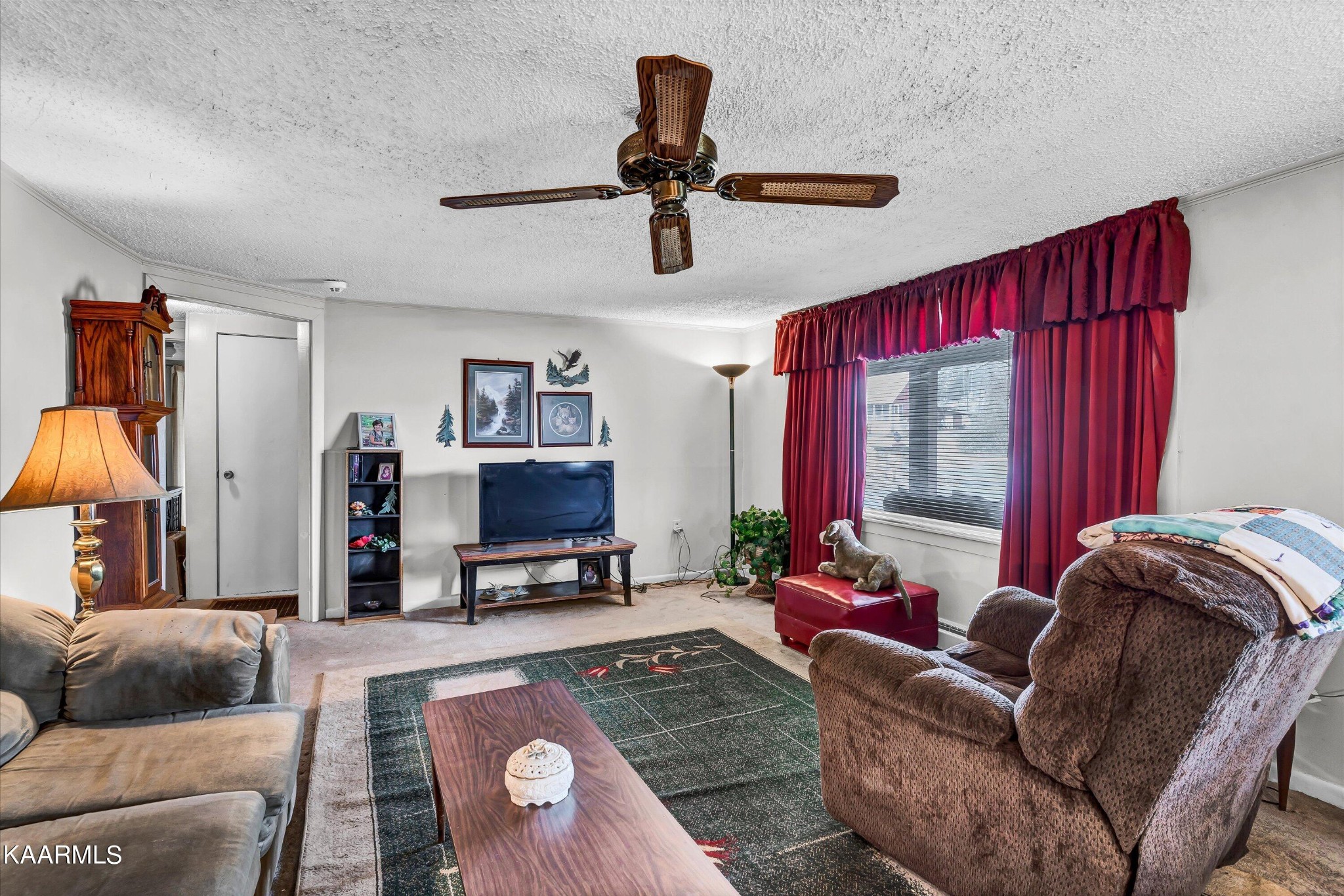 502 Carson Springs Road Newport, TN 37821 - Photo 6 of 28 Gallery Image 6