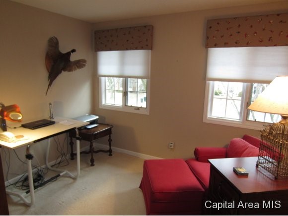 3209 West Point Drive Springfield, IL 62704 - Photo 16 of 19