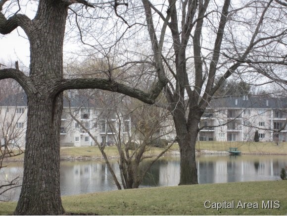 3209 West Point Drive Springfield, IL 62704 - Photo 2 of 19