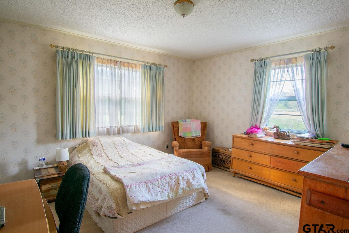 460 Hickory Street Van, TX 75790 - Photo 10 of 17