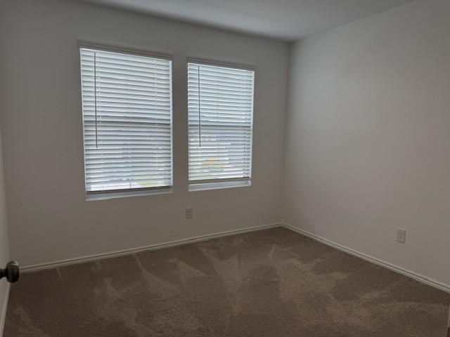 572 Avre Loop Kyle, TX 78640 - Photo 8 of 13 Plush carpeting and dual windows create a comfortable and inviting atmosphere in this versatile bedroom.