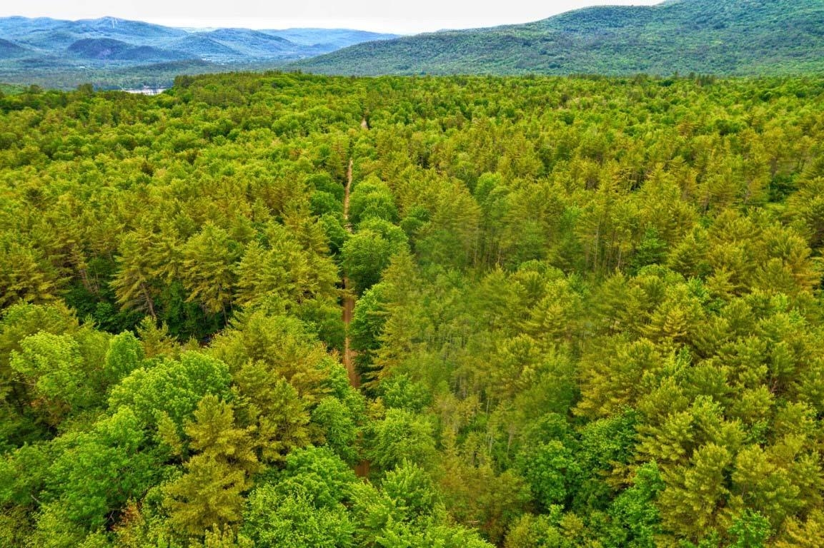 0 Windmill Road Campton, NH 03223 - Photo 12 of 17