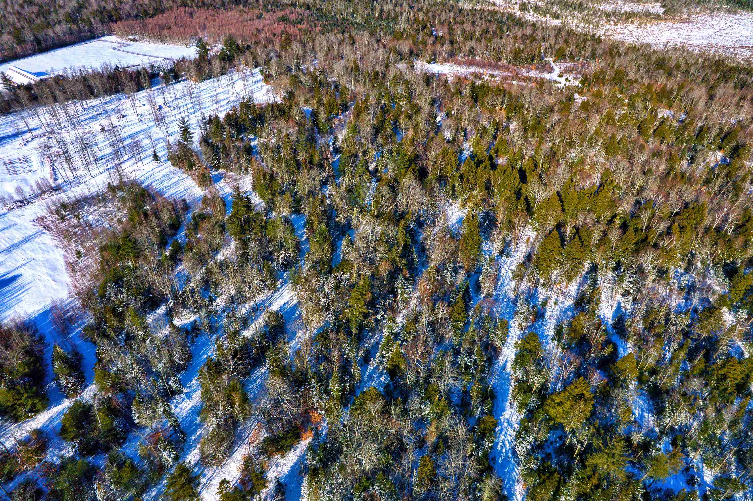 0 Windmill Road Campton, NH 03223 - Photo 3 of 17