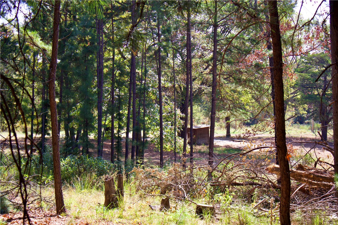 12008 Ozark Road Chester, AR 72934 - Photo 35 of 47 Gallery Image 35