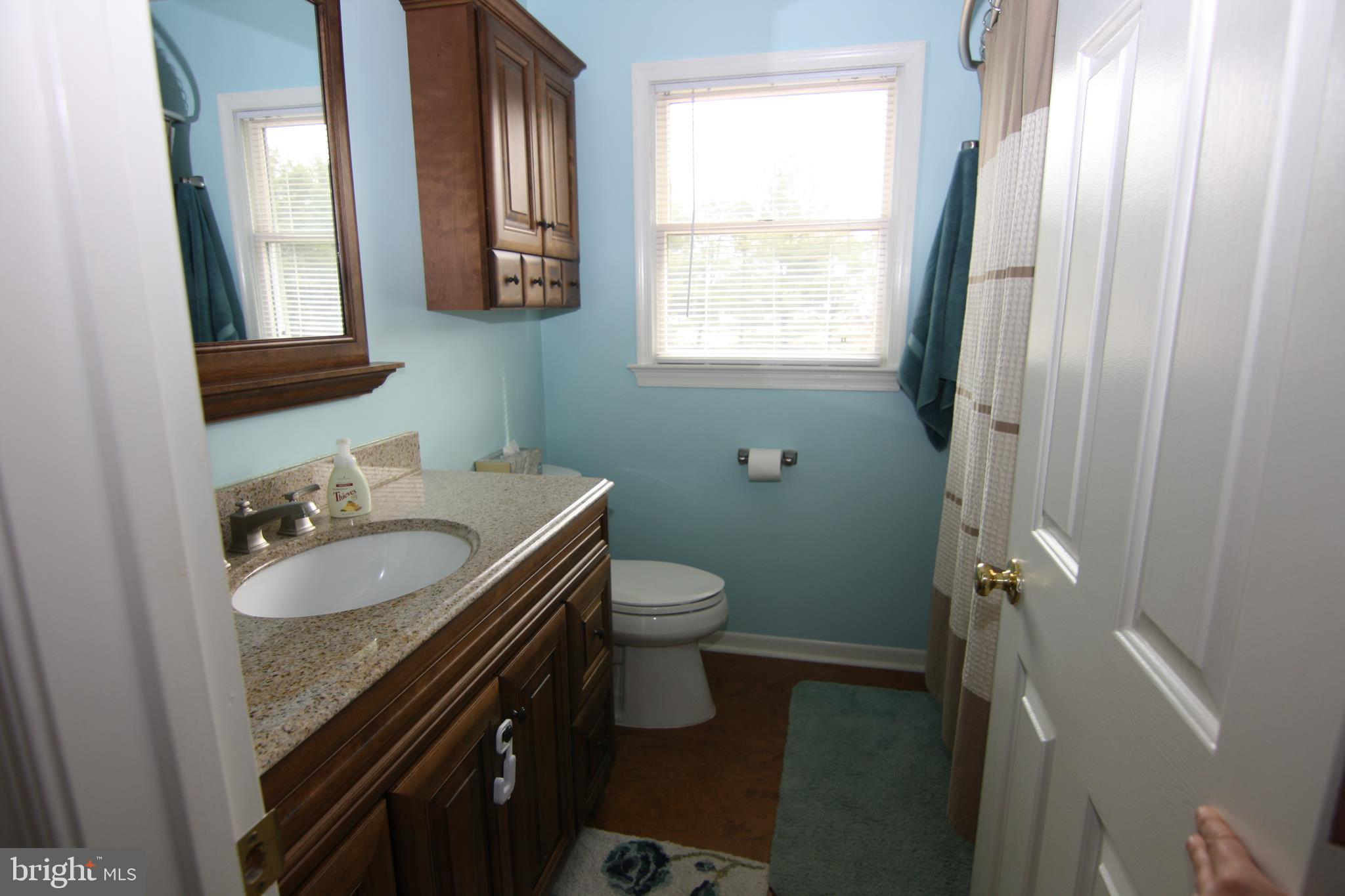 7489 Fire Tower Road Hebron, MD 21830 - Photo 21 of 30 guest bath