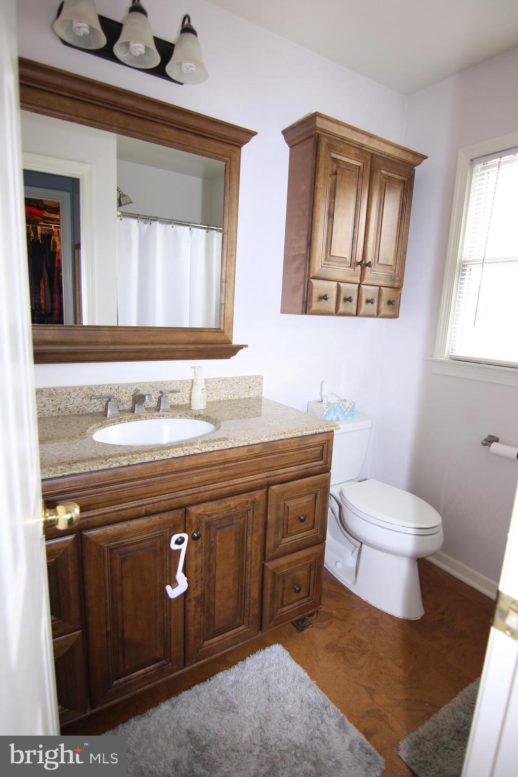 7489 Fire Tower Road Hebron, MD 21830 - Photo 23 of 30 master bathroom