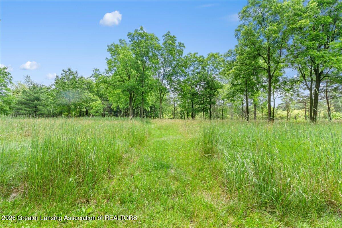 4356 Harris Road Williamston, MI 48895 - Photo 49 of 62 58-Media Jett - 54
