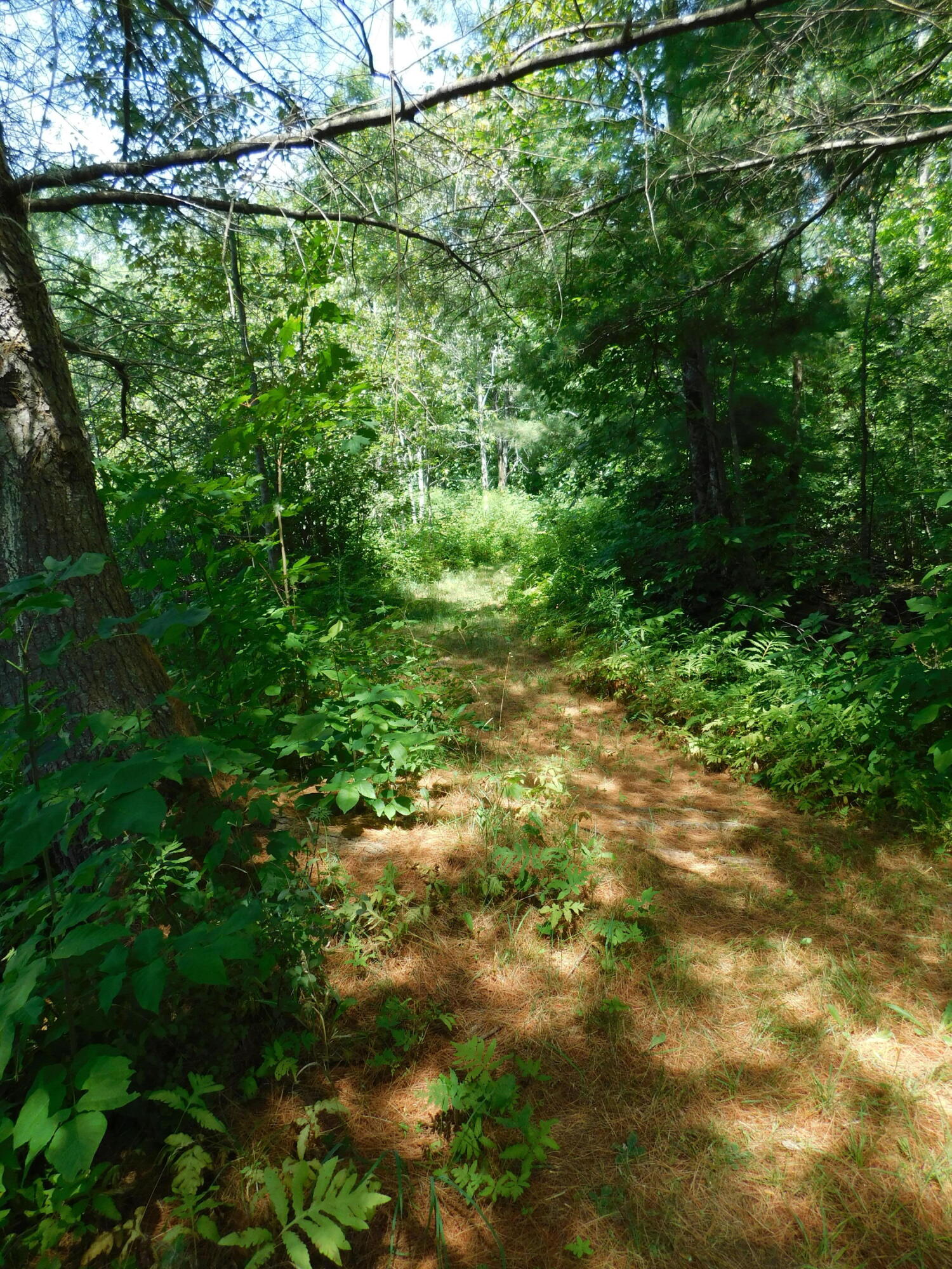 28 Worthen Road Corinna, ME 04928 - Photo 17 of 55 DSCN4895