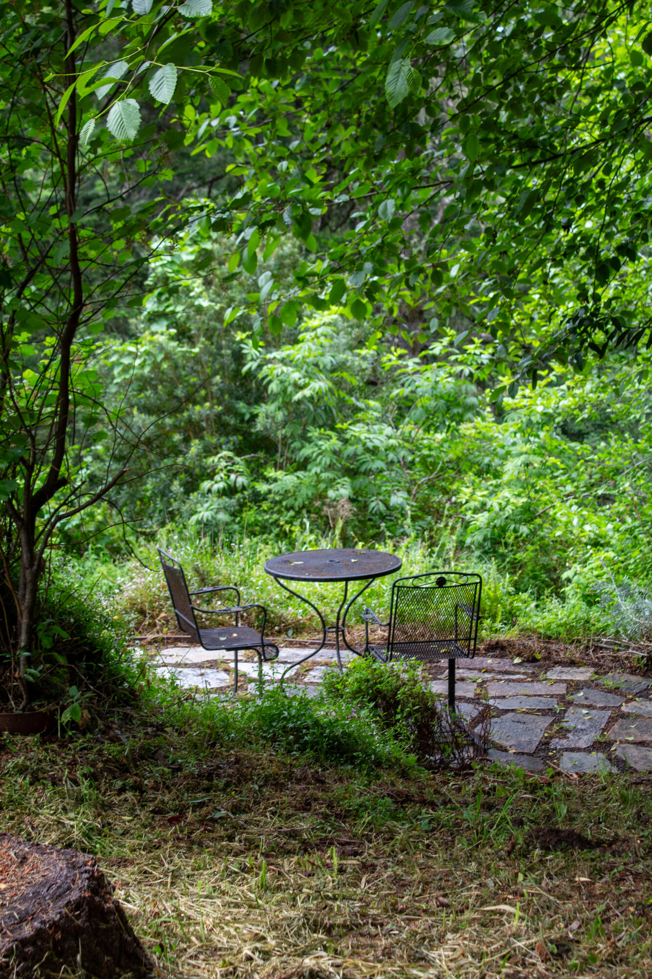 524 Spring Road Shelter Cove, CA 95589 - Photo 57 of 60 Spring-112