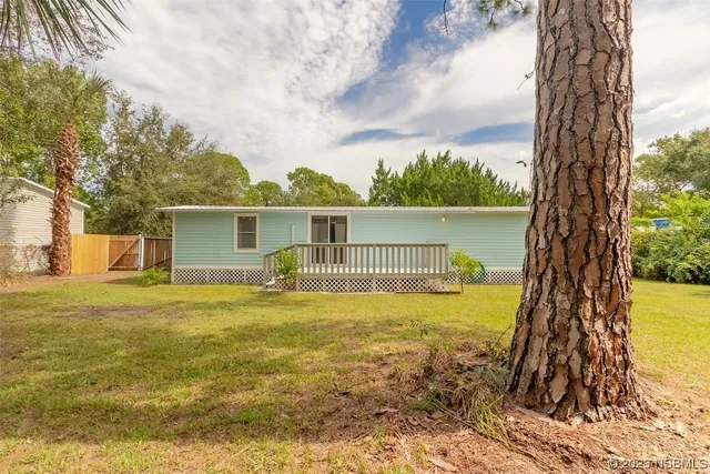 a view of a large trees with a yard