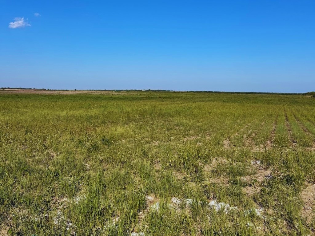 Tbd County Rd 1070 South, Unit 100 AC Kingsville, TX 78363 - Photo 9 of 11