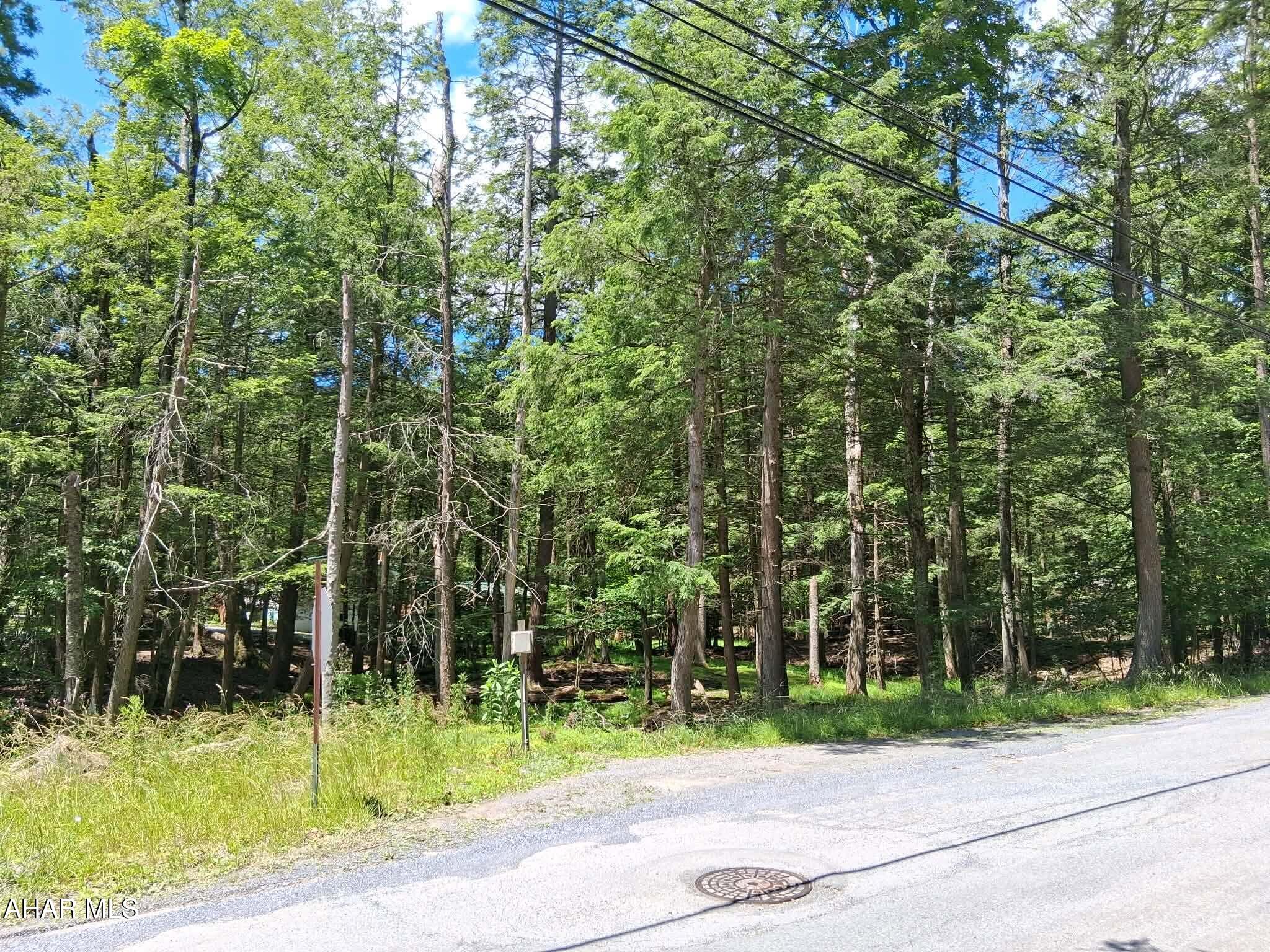 350 Kibler Lake Road Flinton, PA 16640 - Photo 4 of 13