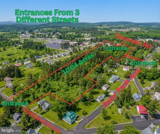 a view of a bunch of flowers