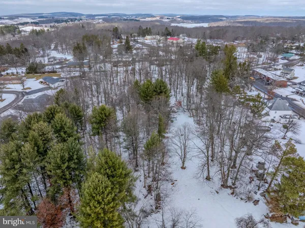 a view of a city with lush green forest