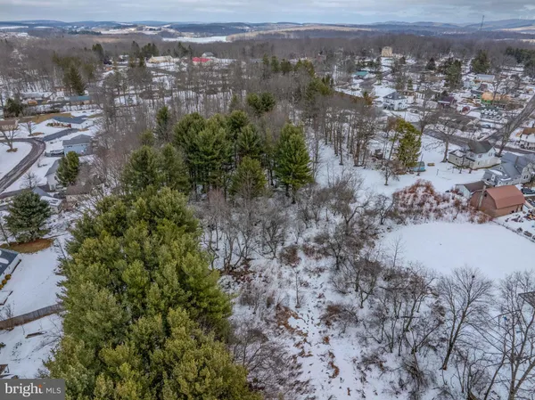 a view of a city with lush green forest