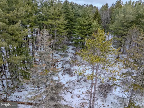 a view of a backyard of the house