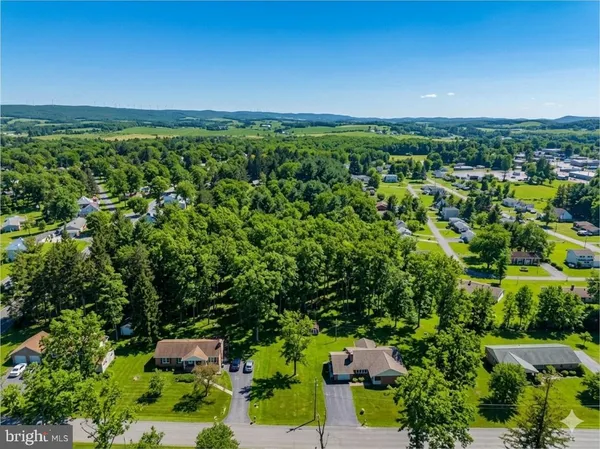 a view of a city with lush green forest