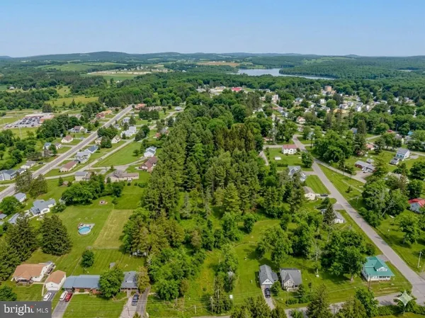 a view of a forest with trees