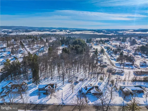 a view of a forest with trees