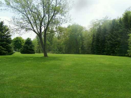 242 Hannahstown Road Cabot, PA 16023 - Photo 3 of 8 Yard/Garden.