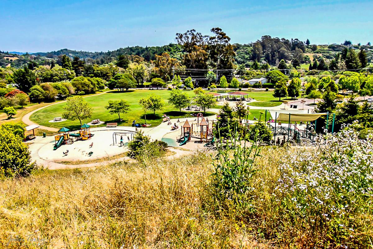 4459 Hilltop Road Soquel, CA 95073 - Photo 32 of 42 Gallery Image 32