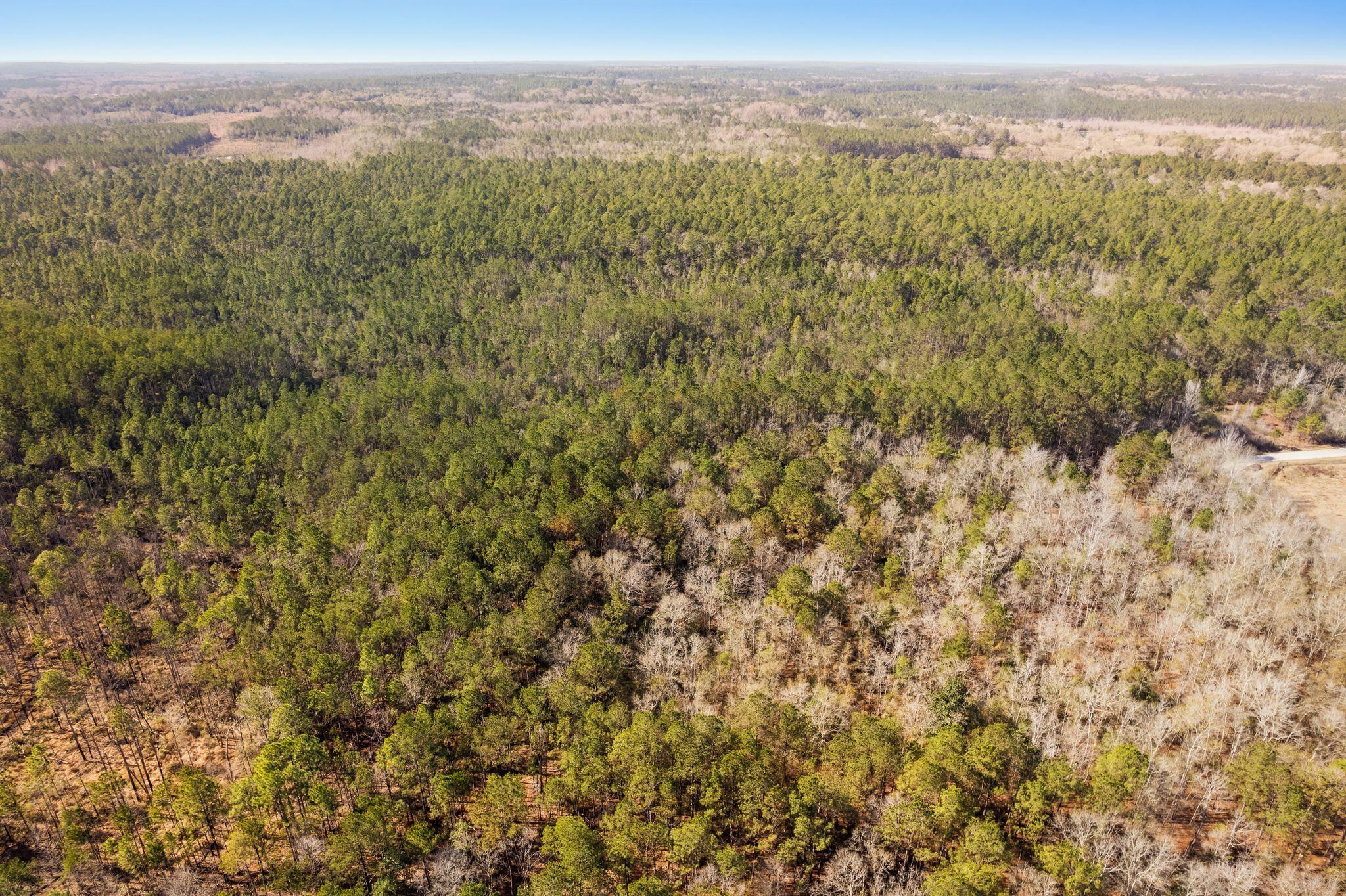 301 Woods Road Lucedale, MS 39452 - Photo 13 of 17 Woods_Road-14