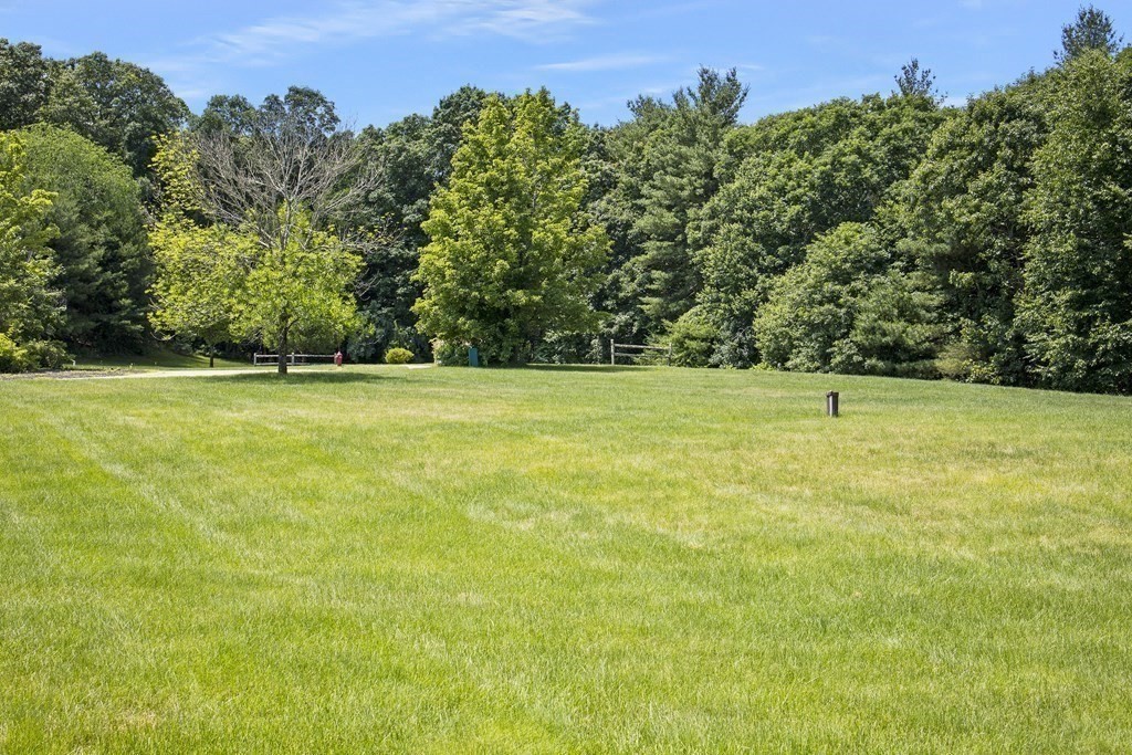 52 Barnstable Road Norfolk, MA 02056 - Photo 39 of 42 Gallery Image 39