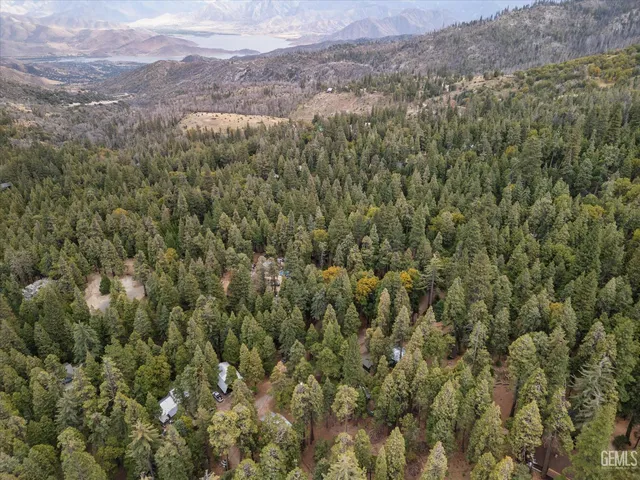 a view of a forest with mountains in the background