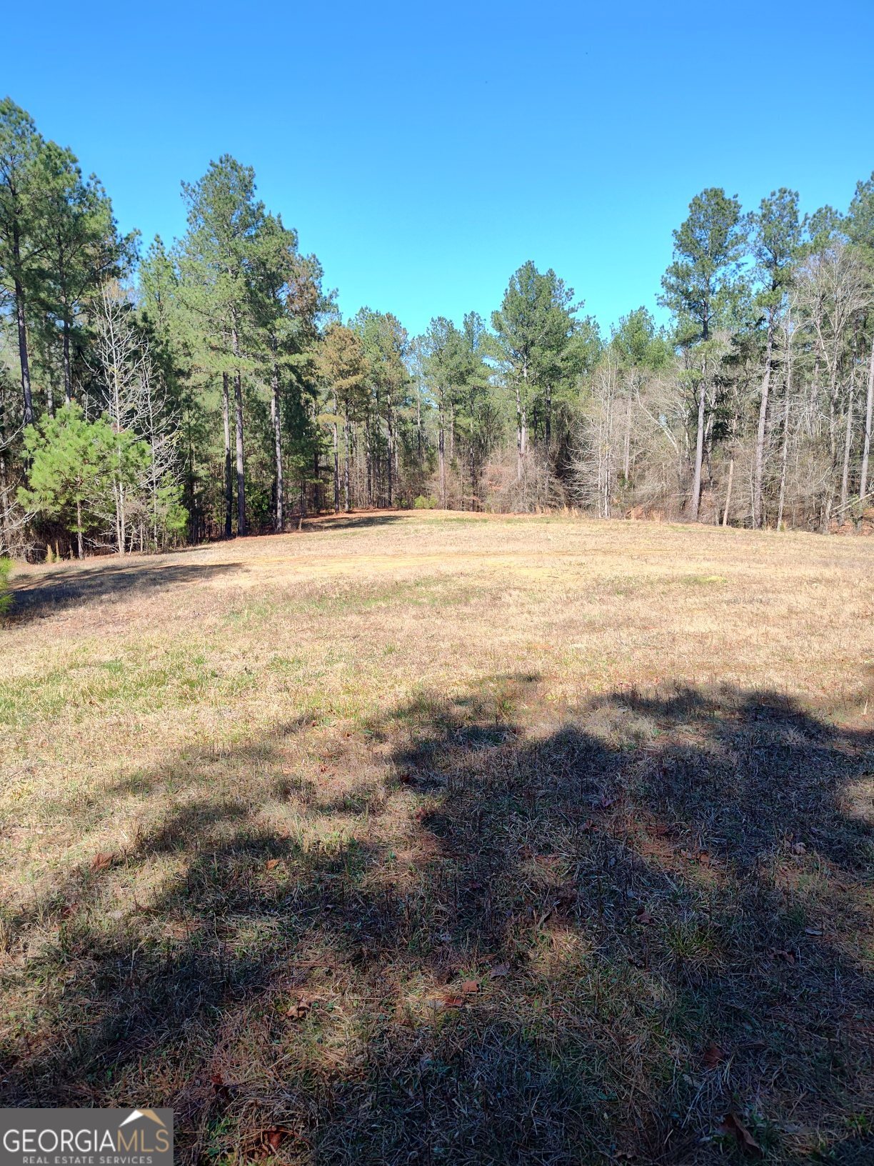 1302 River Road Elberton, GA 30635 - Photo 11 of 11