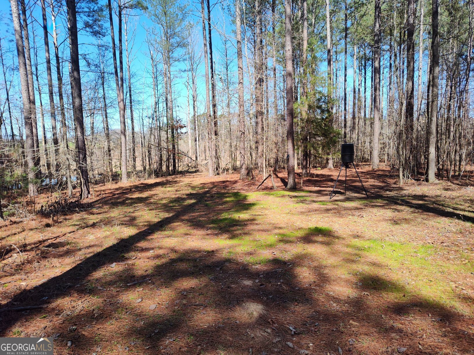 1302 River Road Elberton, GA 30635 - Photo 4 of 11