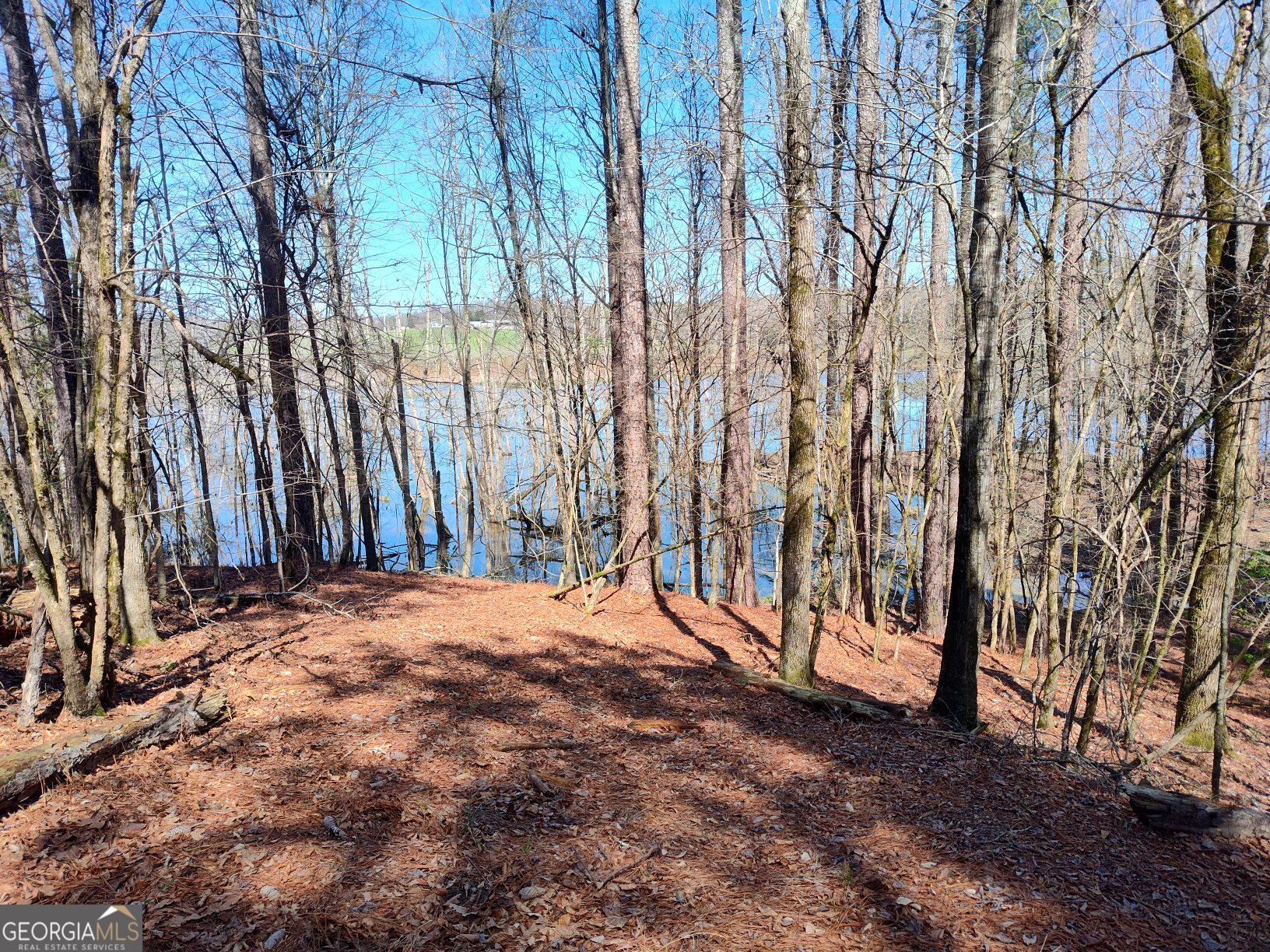 1302 River Road Elberton, GA 30635 - Photo 5 of 11