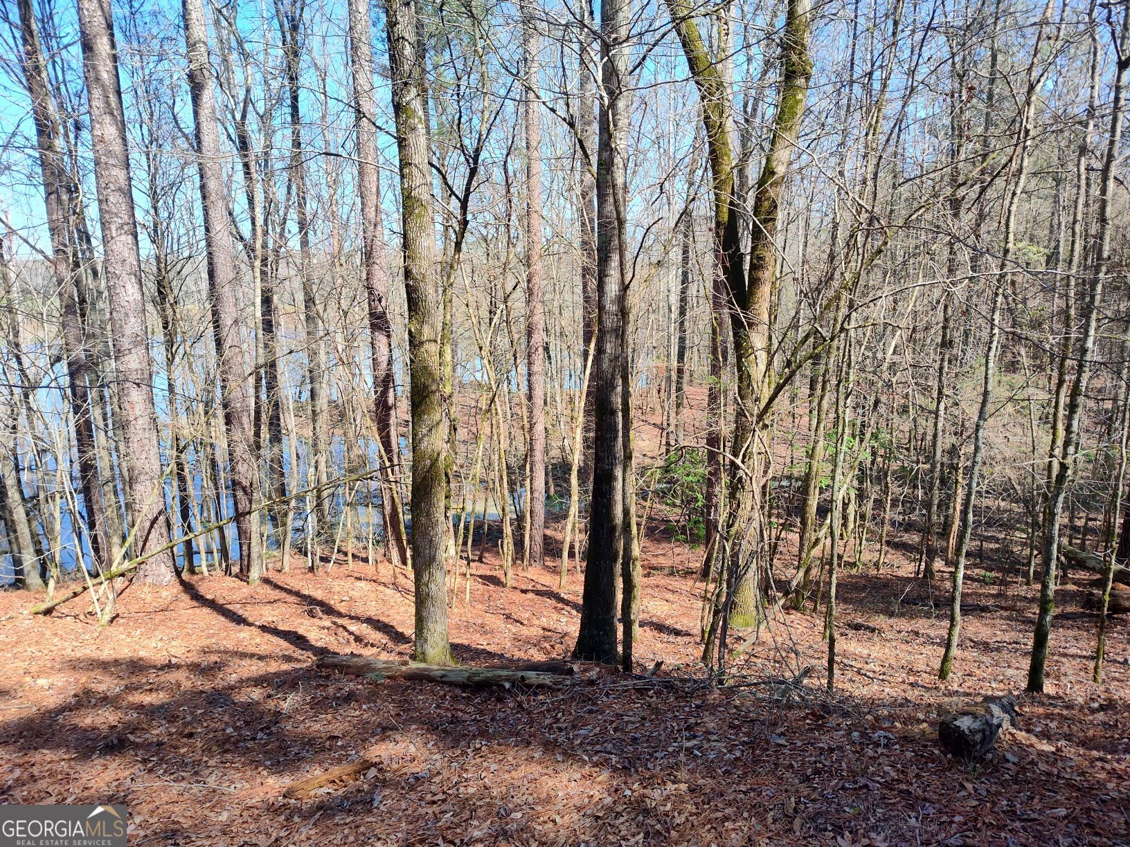 1302 River Road Elberton, GA 30635 - Photo 6 of 11