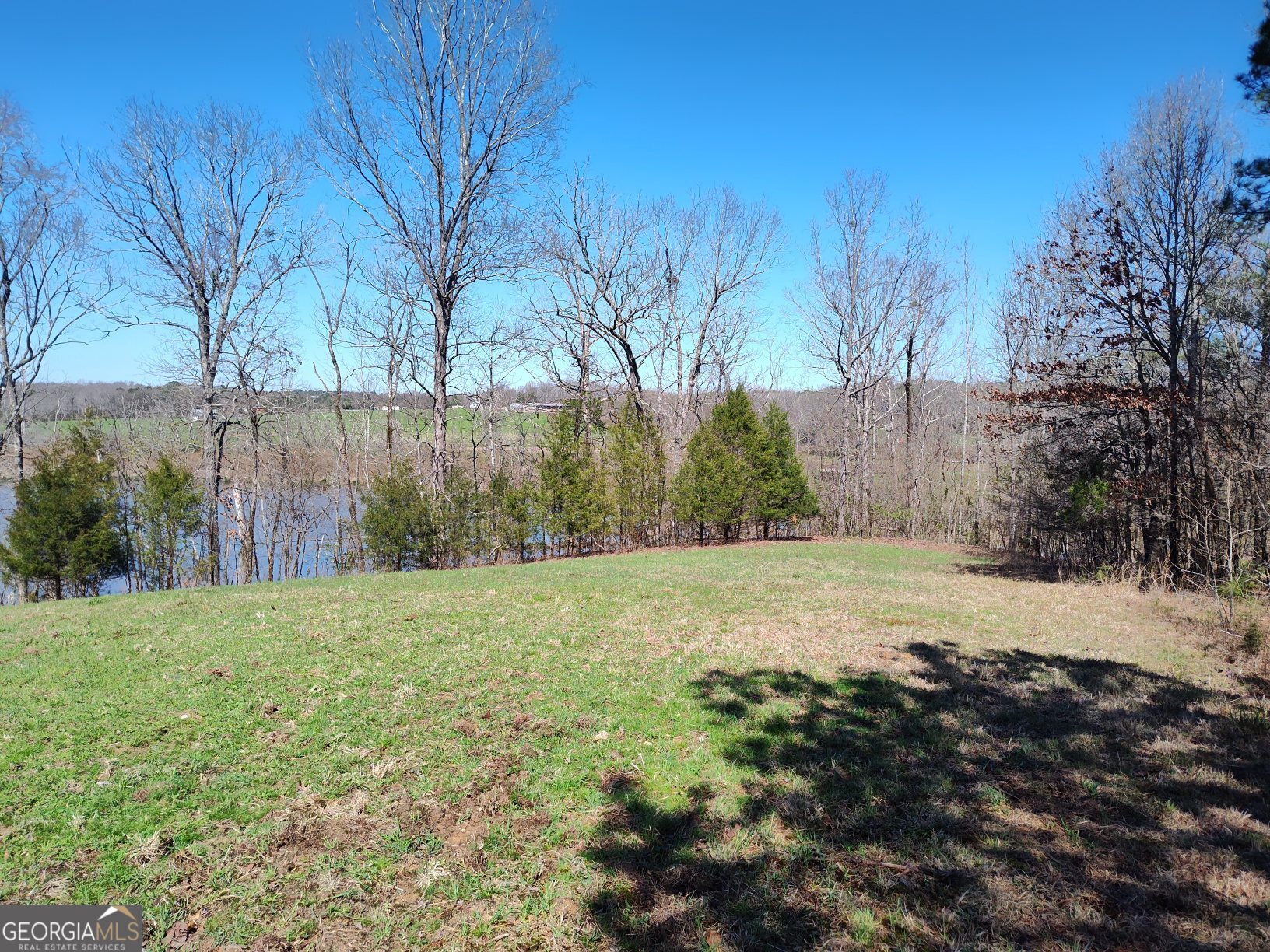 1302 River Road Elberton, GA 30635 - Photo 7 of 11